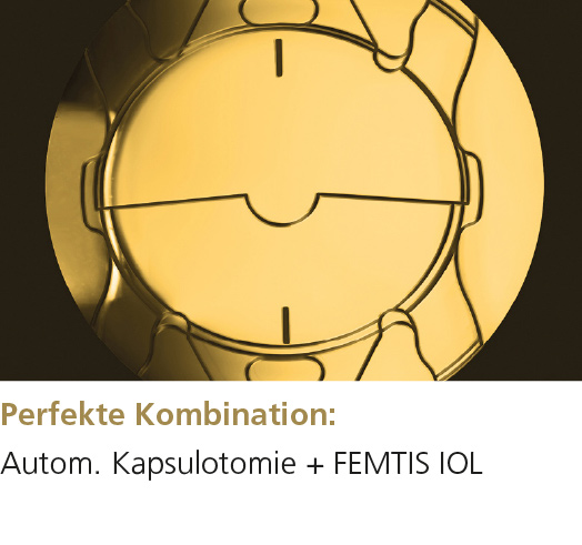 3er Vorteile FEMTIS rechts DE