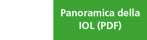 Button IOL-Übersicht IT