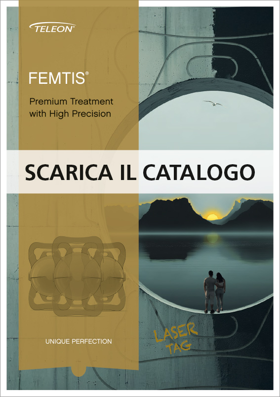 Download TechInfo FEMTIS IT