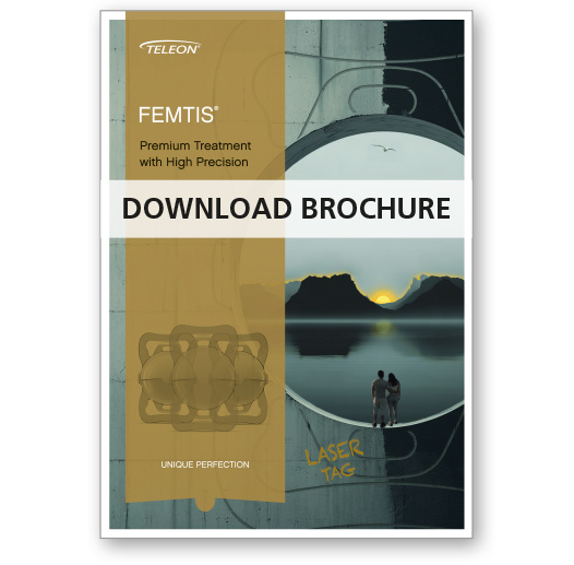 FEMTIS Download Prospekt EN neu 05/2025 solo