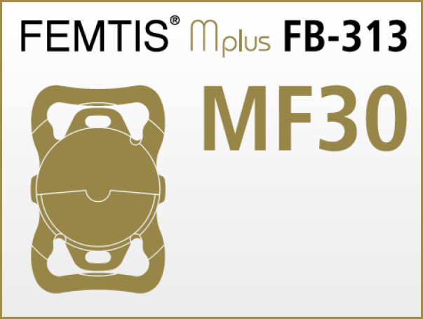 Visual Mplus MF30