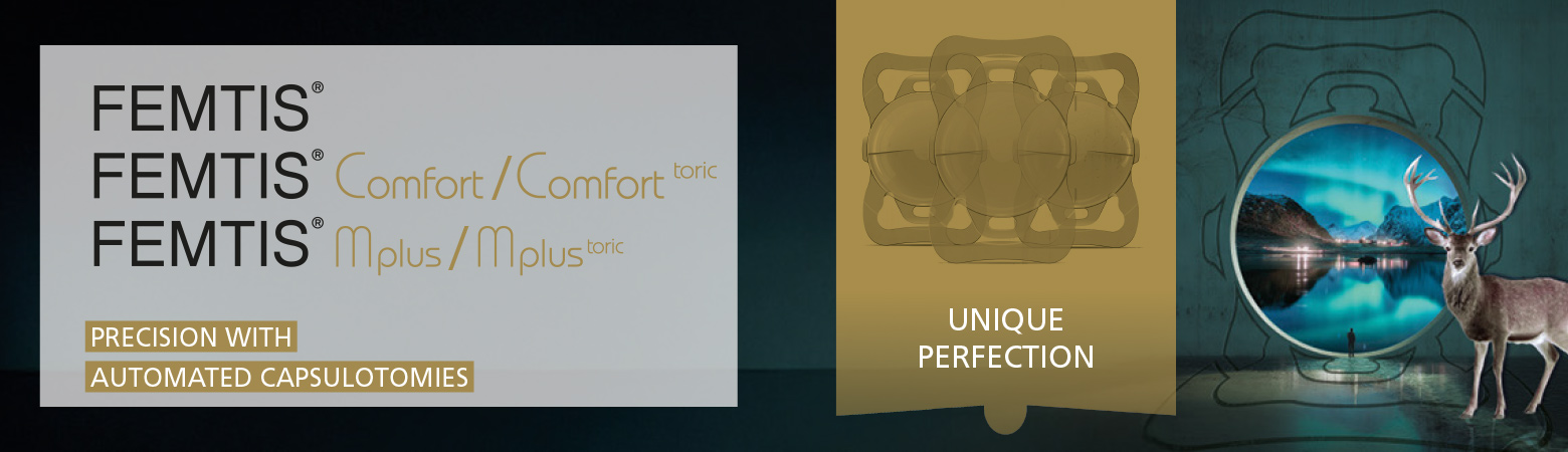 Header FEMTIS Xmas 2025 EN