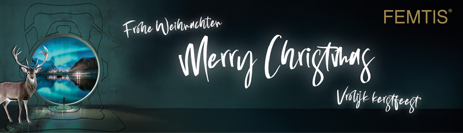 Header Xmas 2025 internationale Grüße FEMTIS