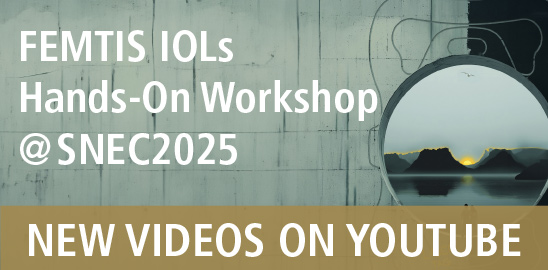 News Teaser | FEMTIS Workshops@SNEC2025